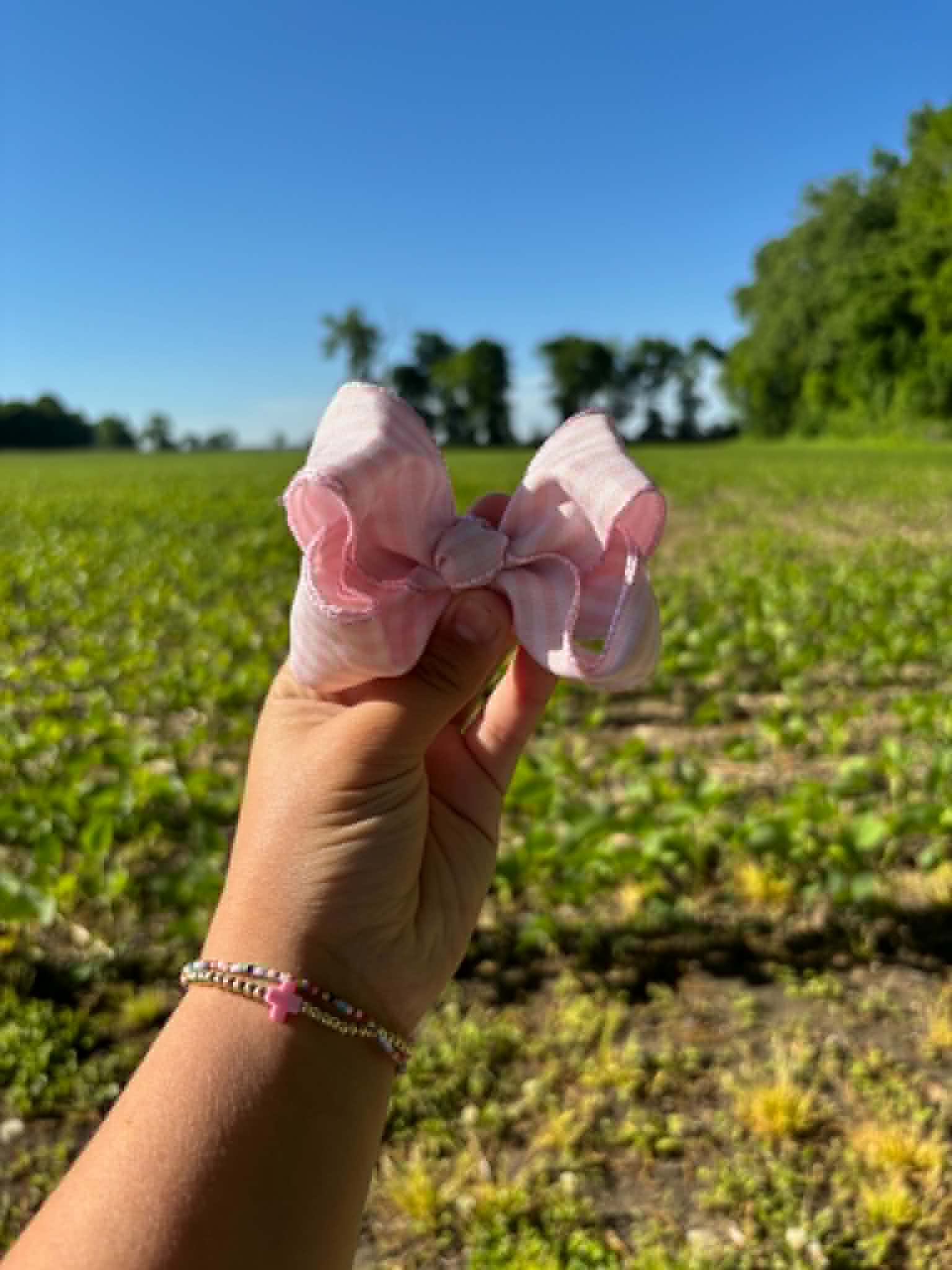 🩷Pink Gingham🩷