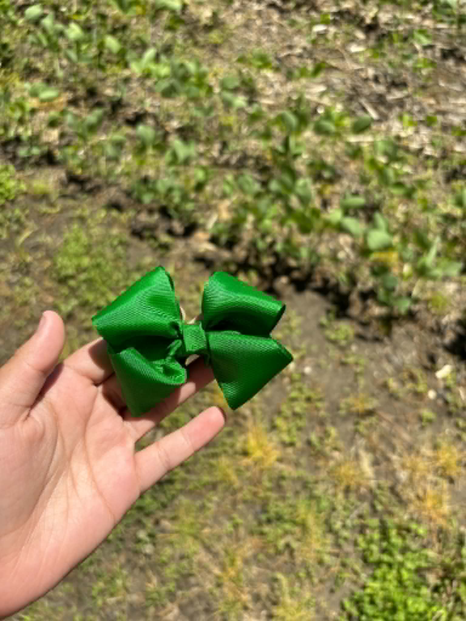 🐸Baby Solid Green🐸