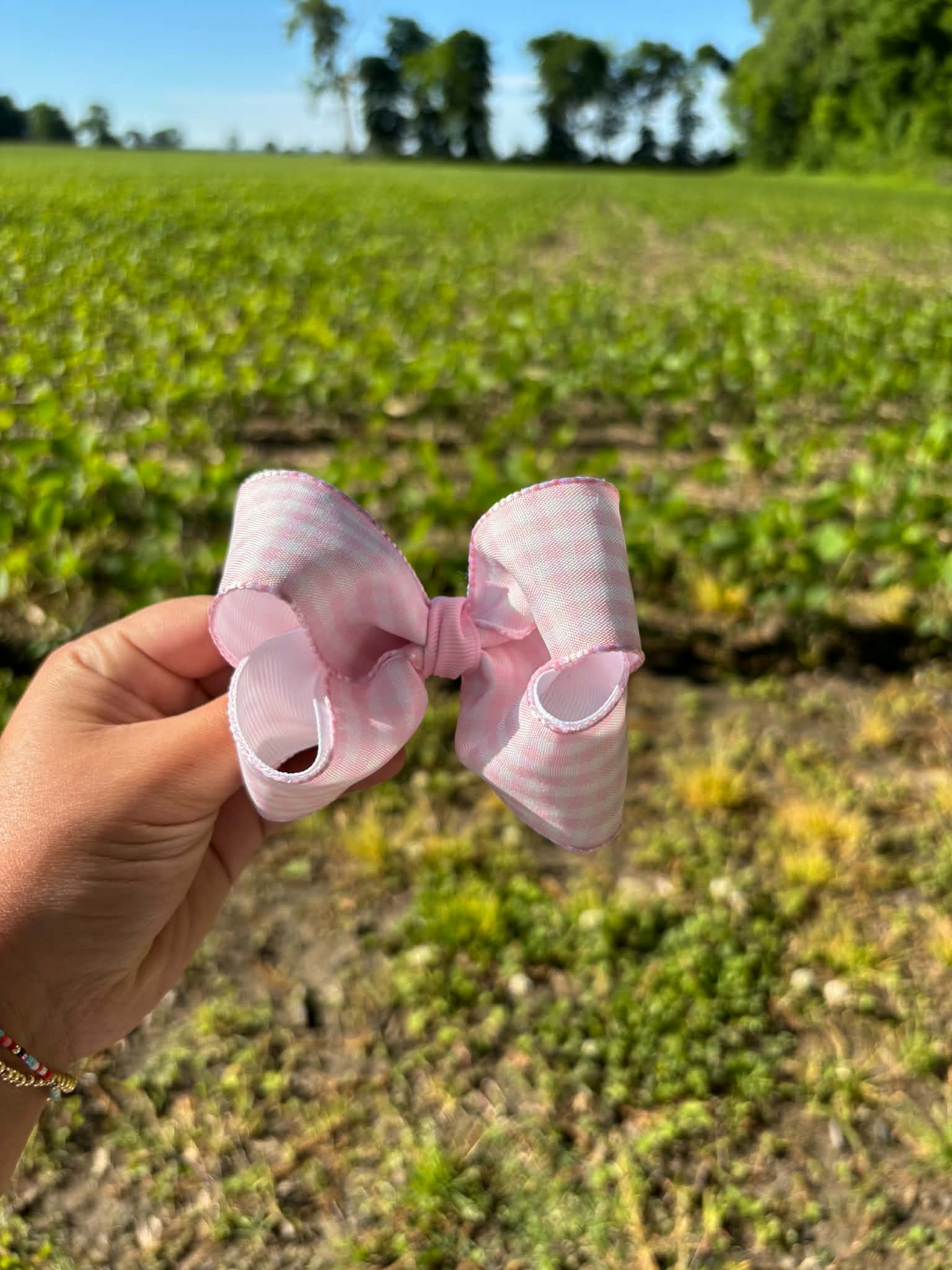 🤍White and Pink Gingham🩷