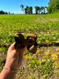 🤠Solid Brown🤠