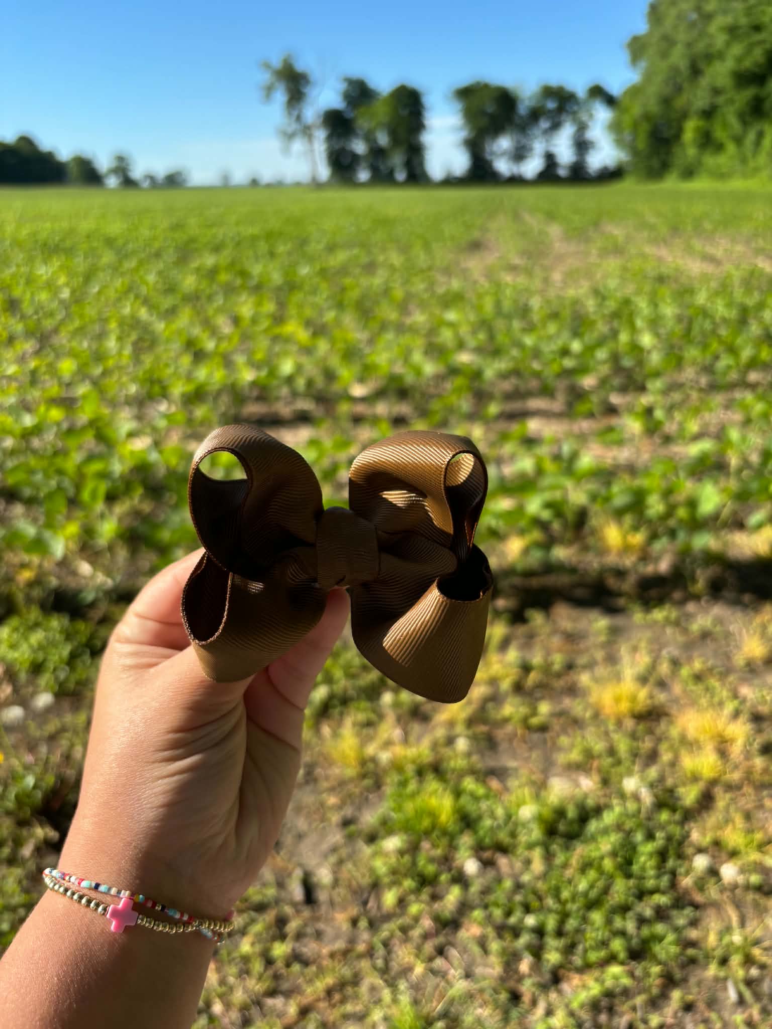 🤠Solid Brown🤠